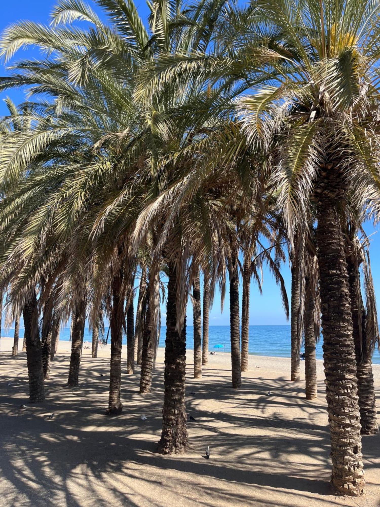 Apartamento Azul Torremolinos Buitenkant foto